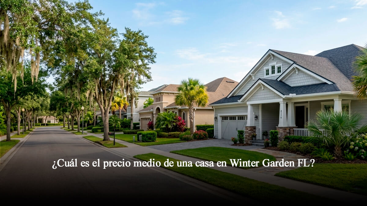 Calle residencial en Winter Garden, Florida, con casas unifamiliares modernas, palmeras y robles con musgo español.